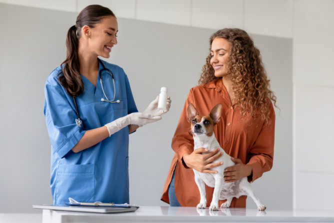caring-for-your-pets-health-needs